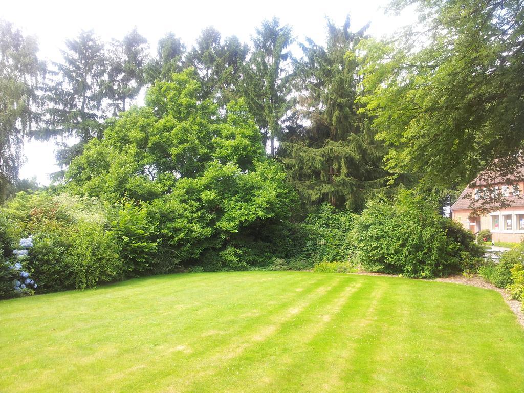 Landhaus Wachendorf Bruchhausen-Vilsen ภายนอก รูปภาพ
